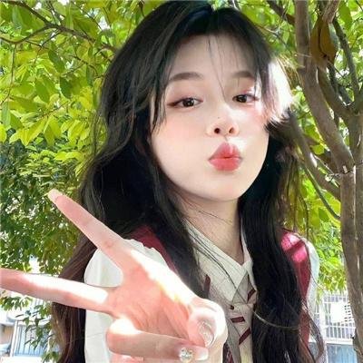 企鹅·布鲁姆
